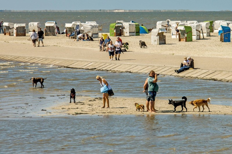 Der Hundestrand in Norddeich ist gut zu erreichen.