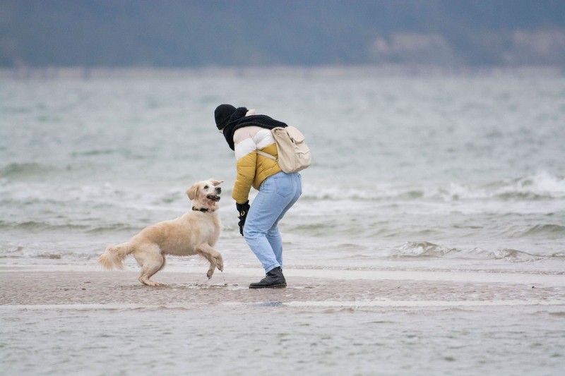 In Warnemünde sind die Nutzungszeiten des Hundestrands eingeschränkt.