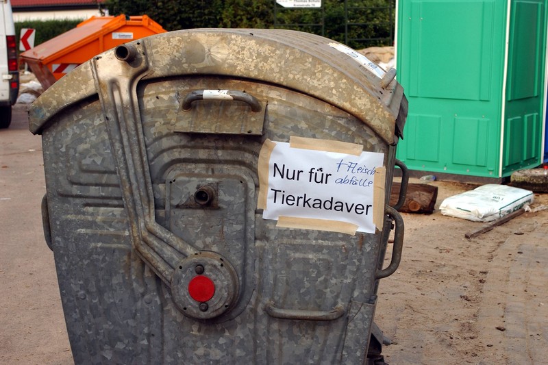 Leider ziehen auch Tierkadaver Ratten an, weshalb man sich bei der Kommune über die richtige Handhabung informieren sollte.