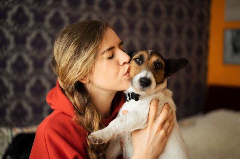 Dein Körpergeruch hat für deinen Hund etwas Beruhigendes und Vertrautes.