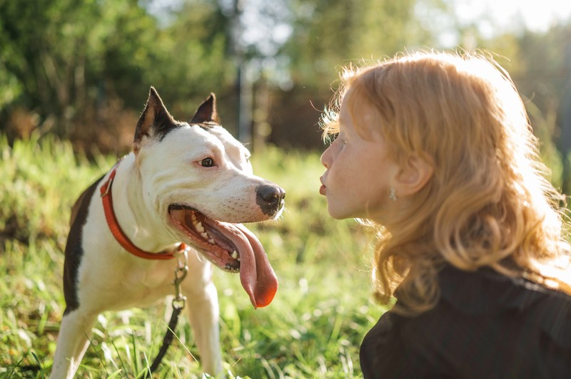 Tiere wie Hunde und Co. brauchen Liebe und Zuneigung.