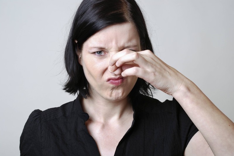 Ammoniak hilft gegen Wanzen, stinkt aber auch für Menschen.
