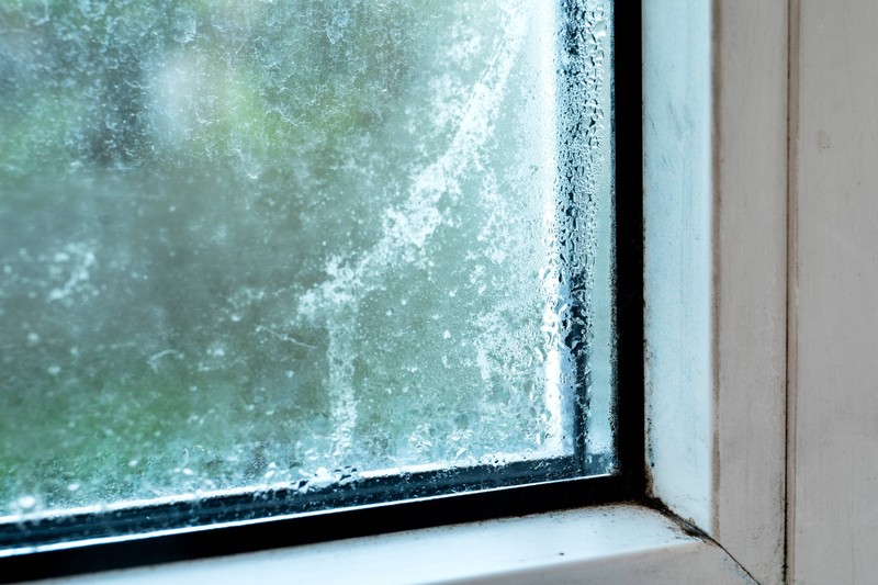 Fugen und Ritzen im Fensterrahmen sind Türen für Wanzen.