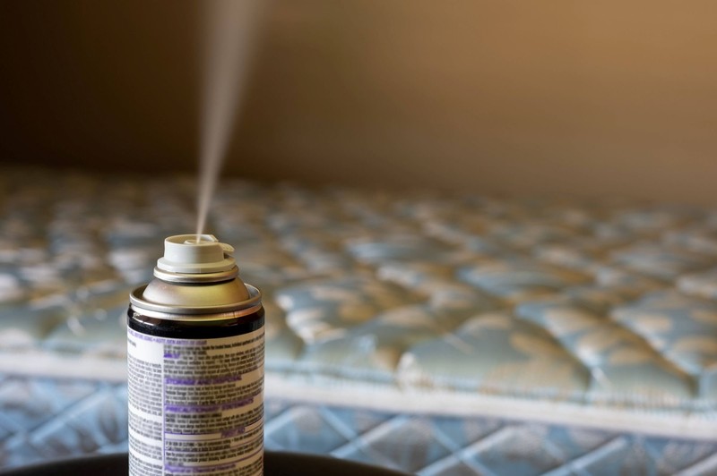 Der Fogger ist das Worst-Case-Mittel gegen Flöhe im Haus.