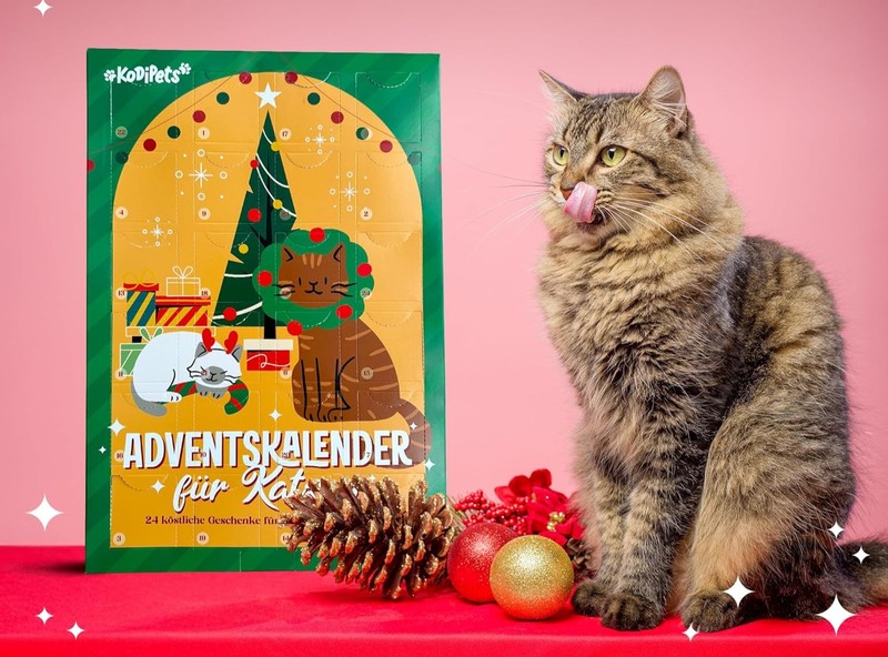 Adventskalender machen auch Katzen Spaß.