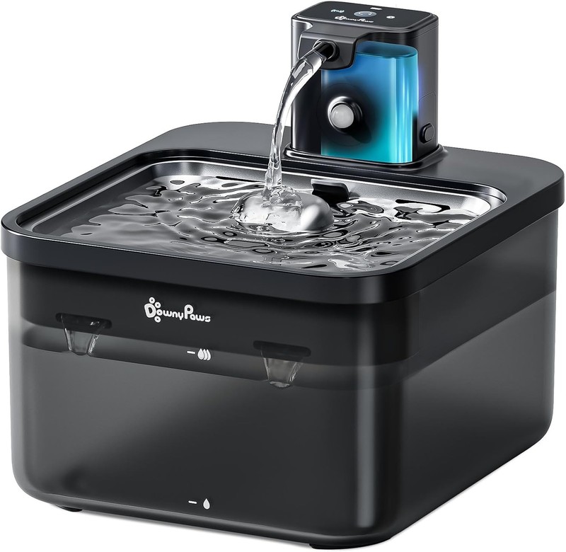 Ein Katzentrinkbrunnen