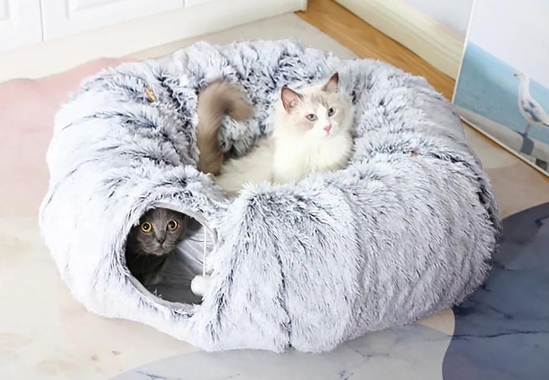 Ein Katzentunnel macht Stubentiger glücklich.