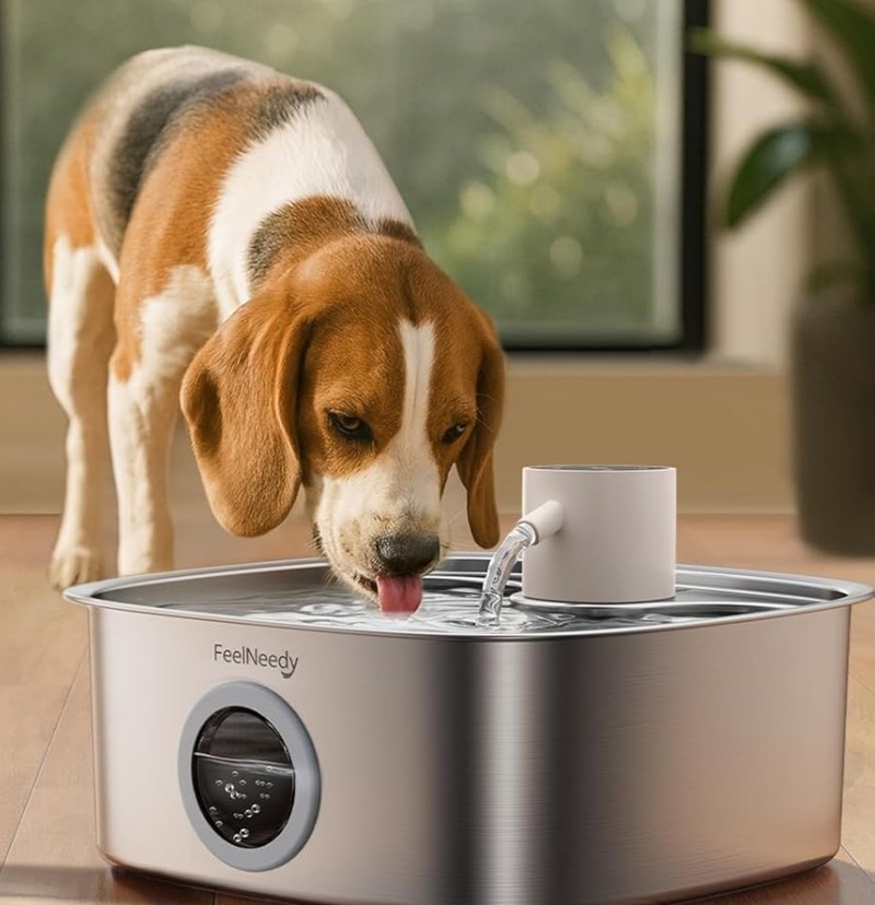 Ein Trinkbrunnen für Hunde ist größer als für Katzen.