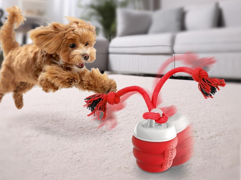 Hunde lieben interaktives Spielzeug.