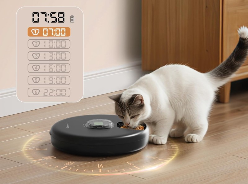 Mit einem Futterautomaten bekommen Katzen immer zur richtigen zeit ihr Futter.