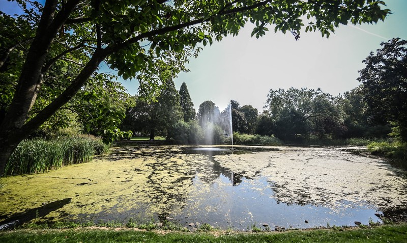 Die Wasserqualität wird negativ beeinflusst durch Futterreste.