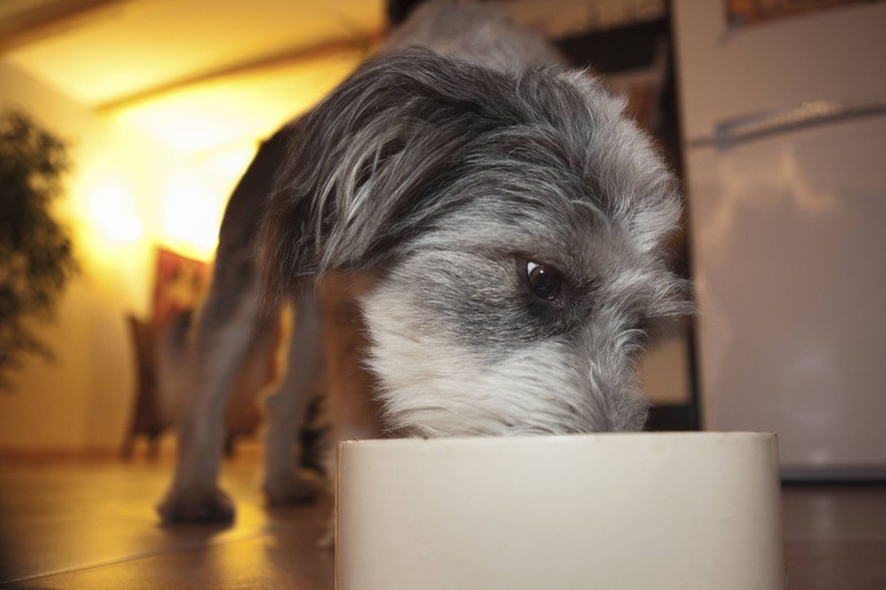 Kältere Temperaturen sorgen nicht automatisch für einen höheren Kalorienbedarf.