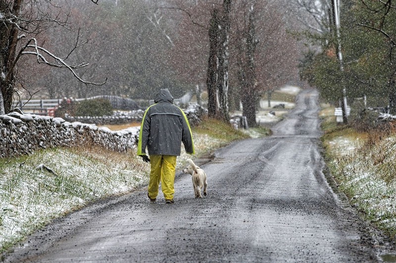 Streusalz kann die Pfoten von Hunden reizen und zu Schmerzen führen.
