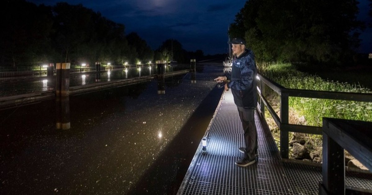 Angeln: Verbote, Regeln und Co.