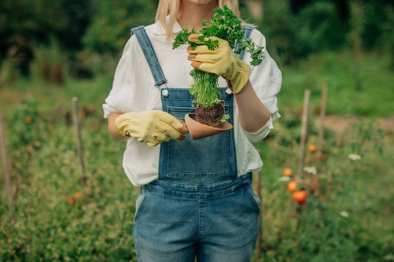 Maulwürfe ernähren sich nicht von Pflanzen und Wurzeln.