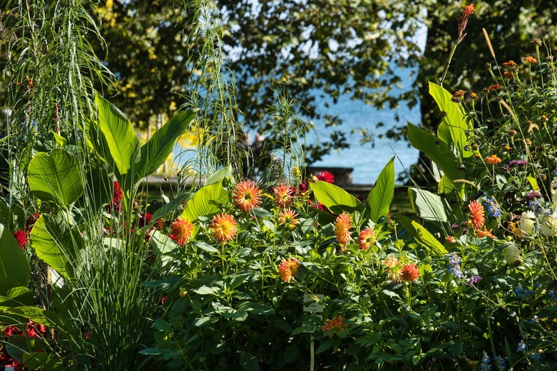 Maulwürfe versorgen deine Pflanzen mit Nährstoffen.