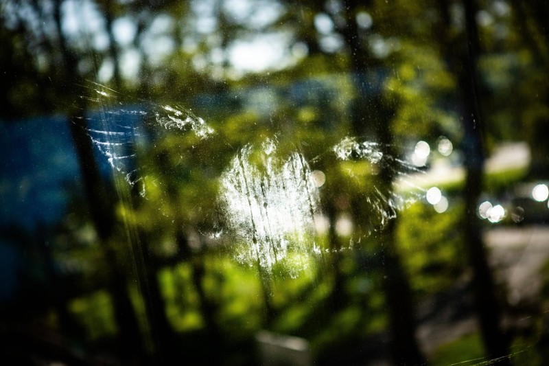 Mattiertes oder reflektierendes Glas hilft gegen Vogelschlag.