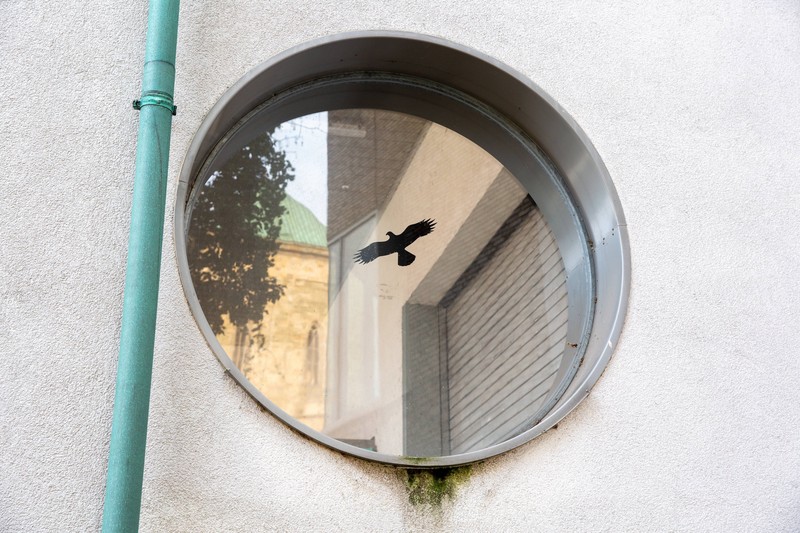 Vogelschutzaufkleber reichen als Schutz vor Vogelschlag nicht aus.