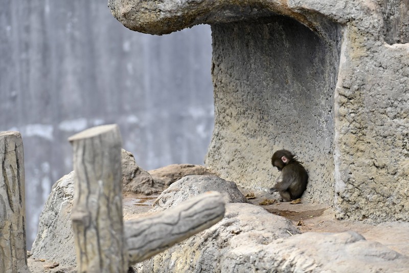 Das sind die Reaktionen der Fans zu diesem Thema.