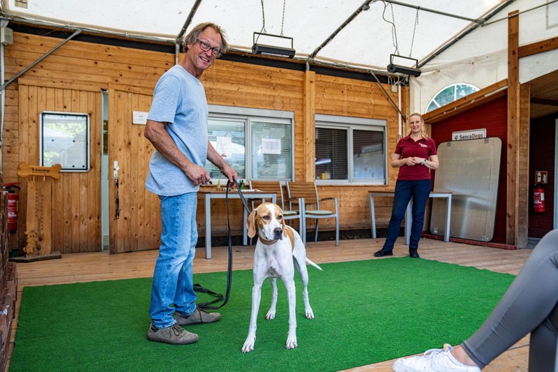 Hundetrainer*innen können dir im Notfall helfen.