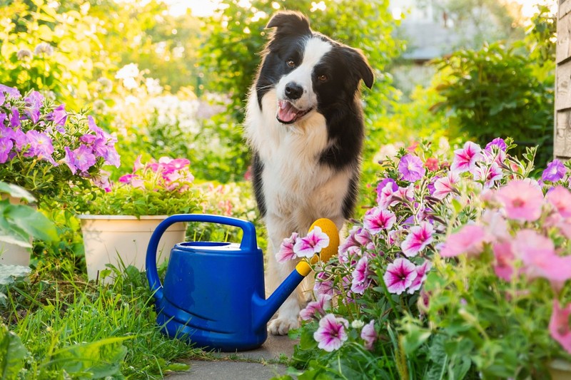 Im eigenen Garten gelingen die Anfänge am besten.