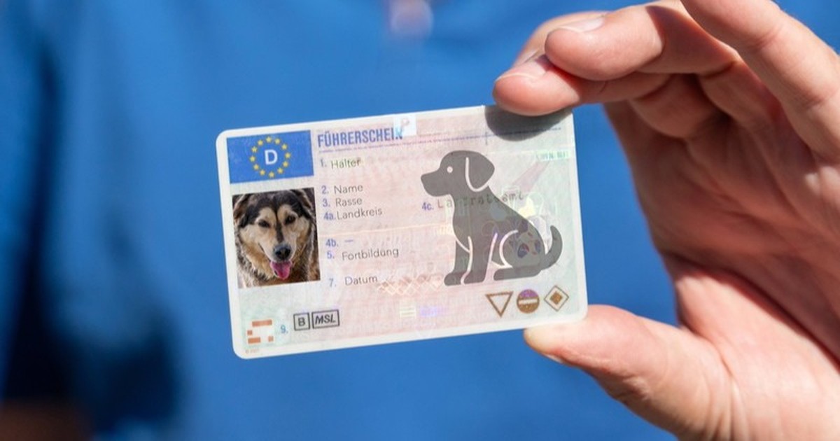 Leinenpflicht, Hundeführerschein & Co.: Was sich jetzt für dich und dein Tier ändert
